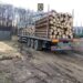 FOTO Polițiștii suceveni au confiscat aproape 100 de metri cubi de material lemnos și un ansamblu de vehicule de circa 40.000 de euro, în trei zile