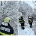 VIDEO Pompierii militari au intervenit pentru a îndepărta un copac căzut care bloca calea de acces pe strada Tăbăcarilor din Suceava