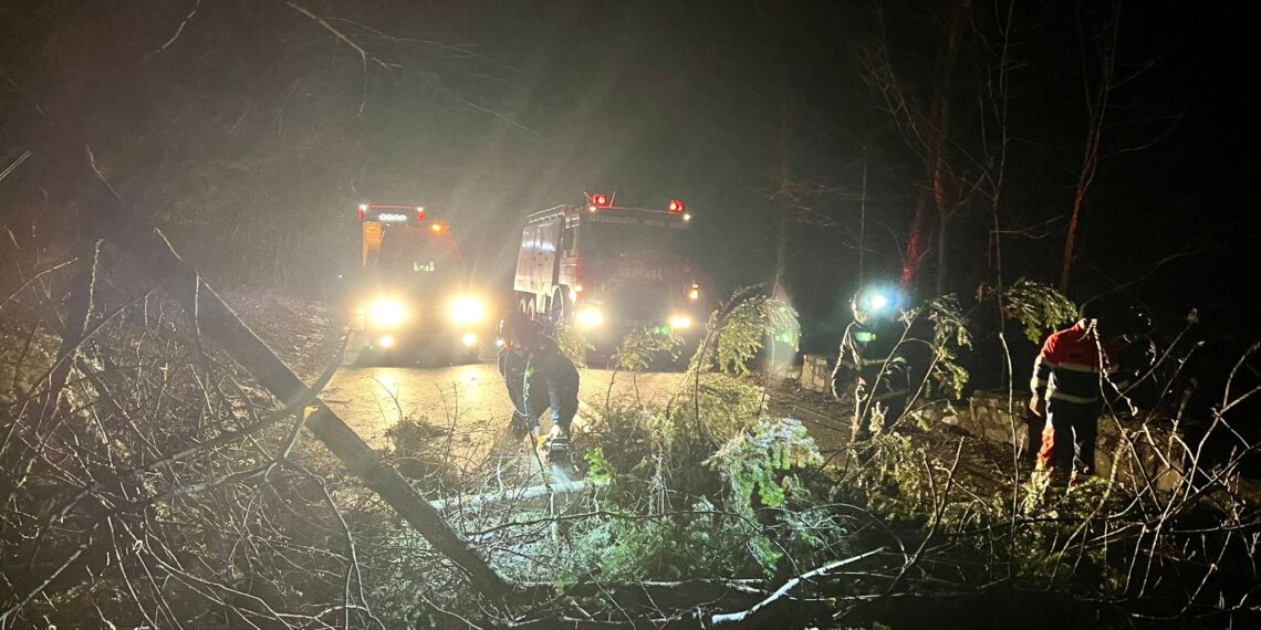 FOTO Mai mulți arbori au căzut pe carosabil în noaptea trecută, din cauza vântului puternic