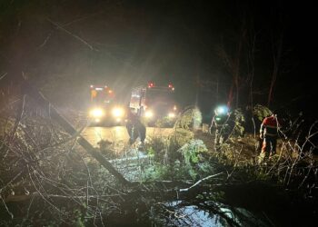 FOTO Mai mulți arbori au căzut pe carosabil în noaptea trecută, din cauza vântului puternic
