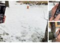 Un cetățean a fost fotografiat în timp ce defeca la marginea străzii Ana Ipătescu din centrul Sucevei