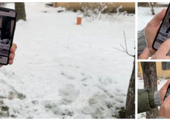Un cetățean a fost fotografiat în timp ce defeca la marginea străzii Ana Ipătescu din centrul Sucevei