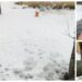 Un cetățean a fost fotografiat în timp ce defeca la marginea străzii Ana Ipătescu din centrul Sucevei