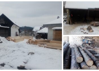 FOTO Două persoane fizice din Cornu Luncii și Vadu Moldovei, care prelucrau material lemnos fără autorizație de mediu, au fost amendate cu 20.000 de lei