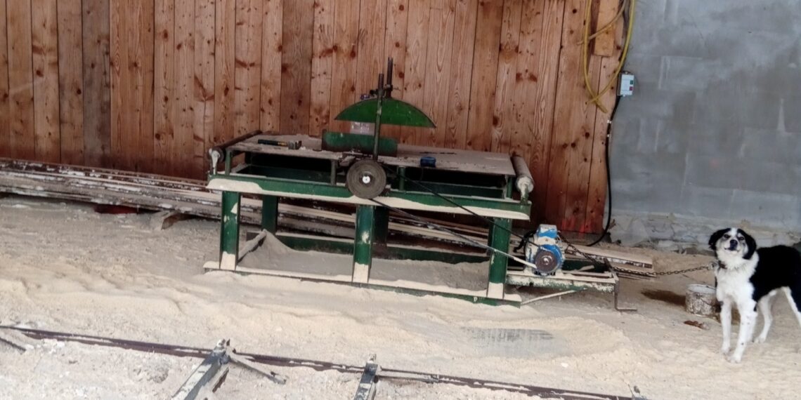 FOTO Garda de Mediu Suceava l-a amendat cu 10.000 de lei pe un bărbat din Mănăstirea Humorului care și-a făcut un gater clandestin cu gospodărie