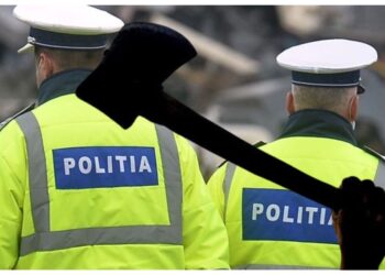 Un individ din Dolhasca care s-a înarmat cu un topor și i-a amenințat pe doi polițiști că le taie capetele a fost condamnat definitiv la un an și patru luni de închisoare cu suspendare. Bărbatul trebuie să le plătească polițiștilor câte 4.000 de lei, daune morale