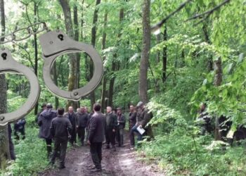 Un fals activist de mediu care a șantajat mai mulți pădurari din Suceava a scăpat de pușcărie. Acesta nu are voie să comunice și să se apropie de victime timp de doi ani