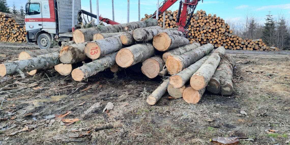 FOTO Polițiștii suceveni au indisponibilizat un ansamblu de vehicule care a fost surprins transportând ilegal peste 17 metri cubi de material lemnos