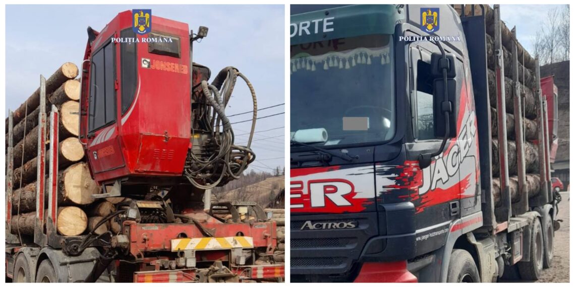 FOTO Polițiștii suceveni au confiscat un camion care transporta ilegal peste 15 metri cubi de material lemnos