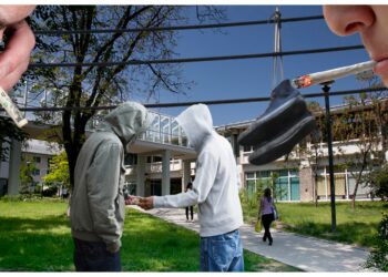 Campusul USV Suceava, raiul tinerilor care vor să se ”spargă” cu fel și fel de droguri? Un student susține că Poliția campusului și administratorii căminelor știu ce se întâmplă dar nu vor să facă nimic: ”Să fie de vină sentimentul de frică pe care îl împărtășesc atunci când vine vorba de zona «Albina» sau doar de nepăsare ori complicitate la acest fenomen”