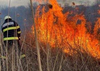 ISU Suceava face un apel la populație pentru a nu mai incendia vegetația uscată