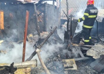 FOTO Incendiu la o gospodărie din Șoldănești, din cauza coșului de fum deteriorat
