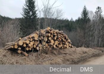 Garda Forestieră Suceava a găsit 198 de metri cubi de material lemnos fără acte în depozitul unei firme din Mălini