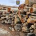 FOTO Polițiștii suceveni au indisponibilizat două camioane și au confiscat peste 300 de metri cubi de material lemnos, în cadrul celei mai ample acțiuni pe linie silvică din acest an