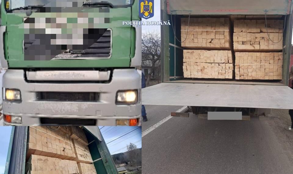 FOTO Polițiștii suceveni au indisponibilizat două camioane și au confiscat peste 300 de metri cubi de material lemnos, în cadrul celei mai ample acțiuni pe linie silvică din acest an
