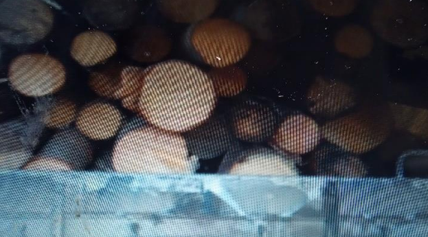 Garda Forestieră Suceava, după ce a verificat un operator economic din zona Sucevița: ”Au fost aplicate amenzi în valoare de 30.000 lei și complementar a fost confiscată cantitatea de 265 mc materiale lemnoase”