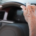 O șoferiță de 77 de ani, din Fundu Moldovei, a lovit cu mașina un bărbat aflat pe o trecere de pietoni
