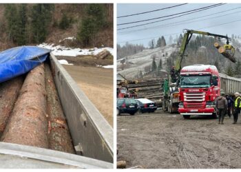 Ilie Bucșă, unul dintre primii activiști de mediu din Suceava care au fost bătuți de gateriști, le-a servit polițiștilor un camion care transporta ilegal material lemnos. Oamenii legii au indisponibilizat camionul care aparține controversatului afacerist Ilie Negură