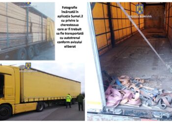 FOTO Transport fictiv de material lemnos, depistat de polițiștii din Fălticeni. Oamenii legii au confiscat valoric peste 50 de metri cubi de cherestea și au aplicat amenzi de 15.000 de lei