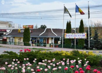 O tânără din Zamostea a fost bătută de fostul iubit din Pătrăuți, la Mc Drive, în a doua zi de Paște