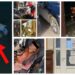 Suceveanca angajată la MApN, care s-a îmbătat strașnic și a dat cu mașina peste un pieton, a fost plasată în arest la domiciliu, după ce a petrecut Paștele la ”răcoare”