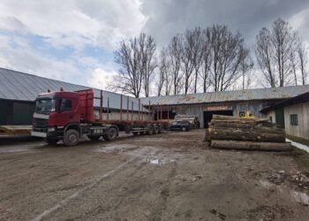 FOTO Polițiștii suceveni au confiscat un ansamblu de vehicule în valoare de 150.000 de euro pentru că transporta ilegal material lemnos prin Pojorâta