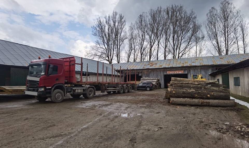 FOTO Polițiștii suceveni au confiscat un ansamblu de vehicule în valoare de 150.000 de euro pentru că transporta ilegal material lemnos prin Pojorâta