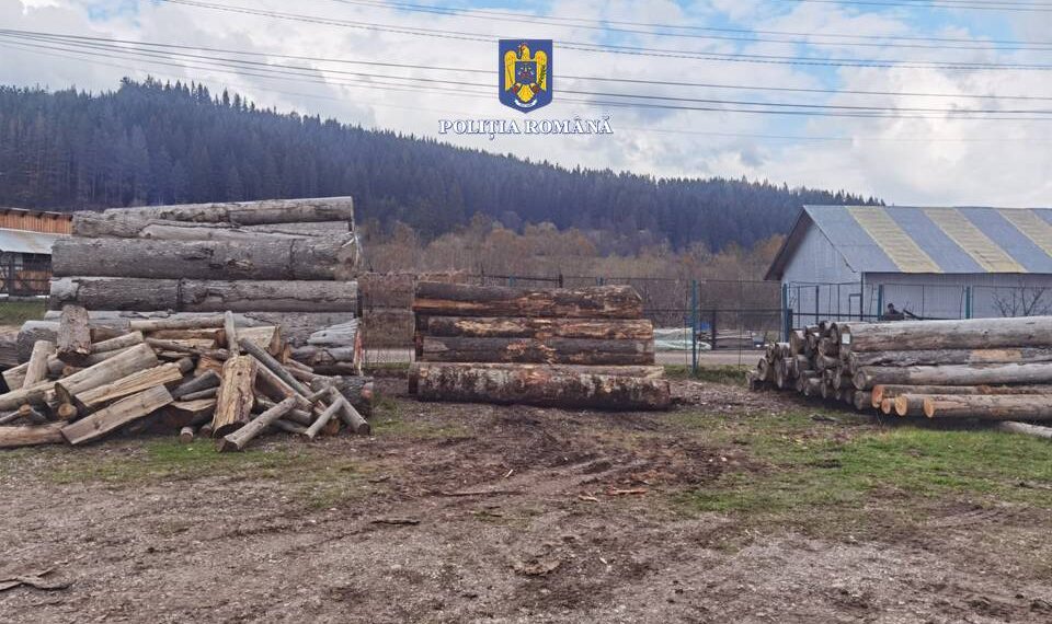 FOTO Polițiștii suceveni au confiscat un ansamblu de vehicule în valoare de 150.000 de euro pentru că transporta ilegal material lemnos prin Pojorâta