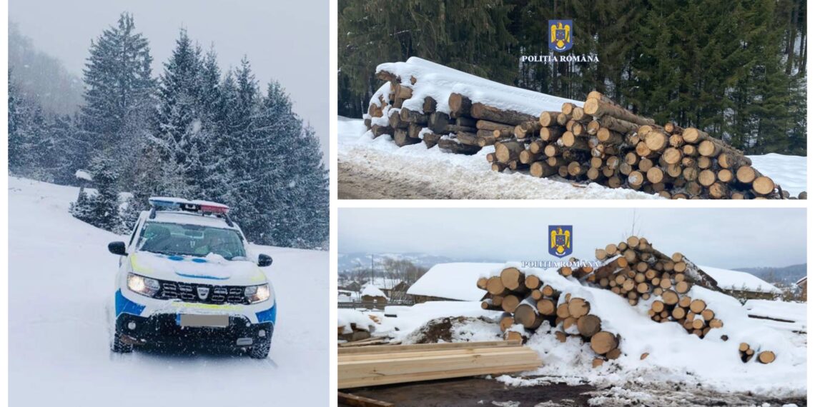 FOTO Polițiștii suceveni au confiscat 178 de metri cubi de material lemnos, în urma unor verificări efectuate pe raza localităților Vatra Dornei și Câmpulung Moldovenesc. Au fost aplicate 10 sancțiuni contravenționale în valoare totală de 56.000 de lei