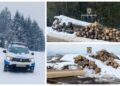 FOTO Polițiștii suceveni au confiscat 178 de metri cubi de material lemnos, în urma unor verificări efectuate pe raza localităților Vatra Dornei și Câmpulung Moldovenesc. Au fost aplicate 10 sancțiuni contravenționale în valoare totală de 56.000 de lei