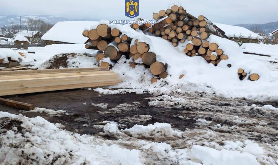 FOTO Polițiștii suceveni au confiscat 178 de metri cubi de material lemnos, în urma unor verificări efectuate pe raza localităților Vatra Dornei și Câmpulung Moldovenesc. Au fost aplicate 10 sancțiuni contravenționale în valoare totală de 56.000 de lei