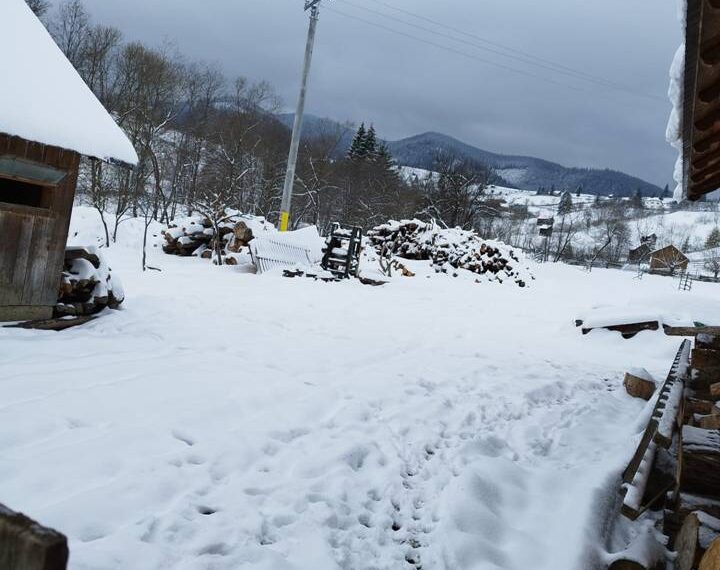 FOTO Polițiștii suceveni au confiscat 178 de metri cubi de material lemnos, în urma unor verificări efectuate pe raza localităților Vatra Dornei și Câmpulung Moldovenesc. Au fost aplicate 10 sancțiuni contravenționale în valoare totală de 56.000 de lei