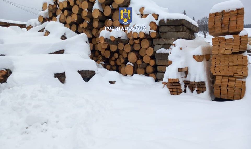 FOTO Polițiștii suceveni au confiscat 178 de metri cubi de material lemnos, în urma unor verificări efectuate pe raza localităților Vatra Dornei și Câmpulung Moldovenesc. Au fost aplicate 10 sancțiuni contravenționale în valoare totală de 56.000 de lei