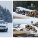 FOTO Polițiștii suceveni au confiscat 178 de metri cubi de material lemnos, în urma unor verificări efectuate pe raza localităților Vatra Dornei și Câmpulung Moldovenesc. Au fost aplicate 10 sancțiuni contravenționale în valoare totală de 56.000 de lei
