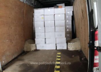 FOTO Dosar penal pentru un bărbat care a încercat să treacă frontiera cu 6 tone tutun de narghilea cu documente falsificate