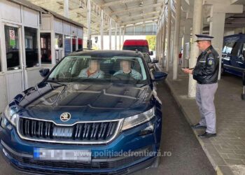 Permis de conducere și atestat profesional, ambele false, depistate in PTF Siret