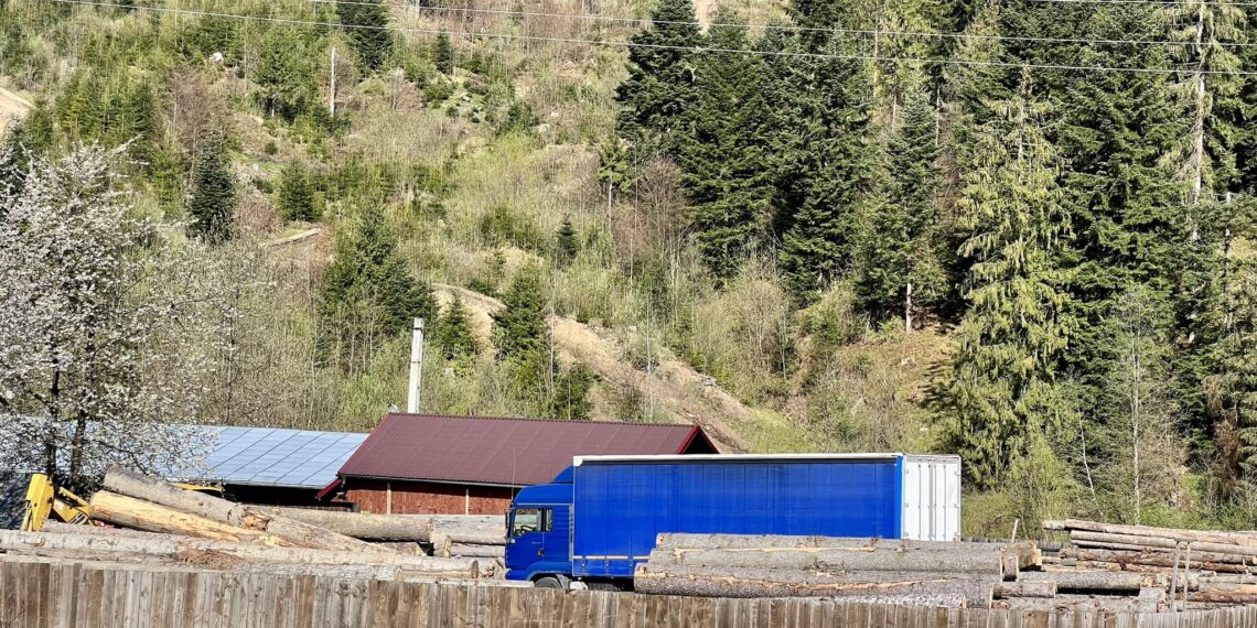 VIDEO Activistul de mediu Daniel Bodnar le-a mai servit polițiștilor un camion care a transportat ilegal material lemnos. Șoferul a fost amendat cu 4.000 de lei