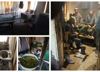 FOTO Mai mulți bărbați cu handicap psihic au fost transformați în sclavi pentru ferme, gospodării și pensiuni. Victimele erau bătute, amenințate și adăpostite în condiții mizere