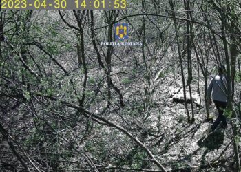 FOTO Un bărbat din Dărmănești a fost reținut în arestul IPJ Suceava, după ce a braconat o căprioară