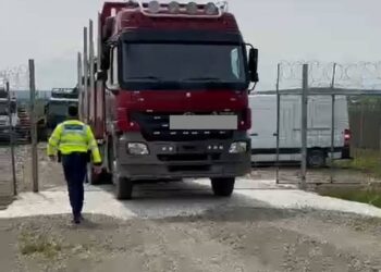 FOTO Polițiștii suceveni au confiscat un ansamblu de vehicule și material lemnos, după un amplu control la un agent economic din domeniul silvic