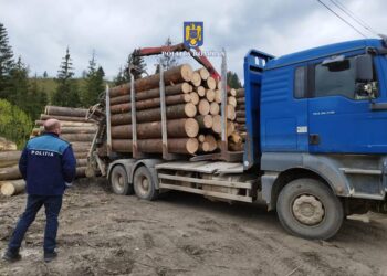 FOTO Polițiștii suceveni au mai confiscat un ansamblu de vehicule folosit pentru transportul ilegal de material lemnos
