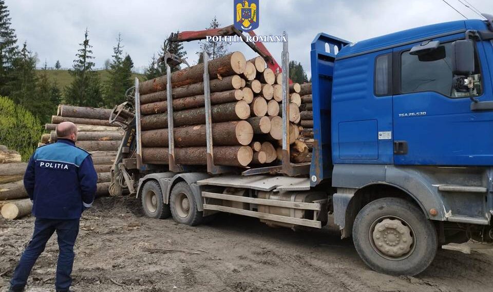 FOTO Polițiștii suceveni au mai confiscat un ansamblu de vehicule folosit pentru transportul ilegal de material lemnos