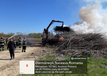 Garda de Mediu Suceava a aplicat o amendă de 30.000 de lei unei firme, după ce un incendiu de vegetație a ars o cantitate de circa 50-70 metri cubi de plop energetic
