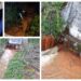 FOTO Amenzi de 90.000 de lei, aplicate de Garda de Mediu Suceava și SGA, pentru poluarea râului Bistrița cu ape de mină, în zona localității Broșteni