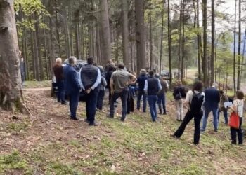 O delegație formată din opt membri ai Parlamentului European au vizitat o parcelă din Brodina, unde s-au efectuat tăieri ilegale de arbori
