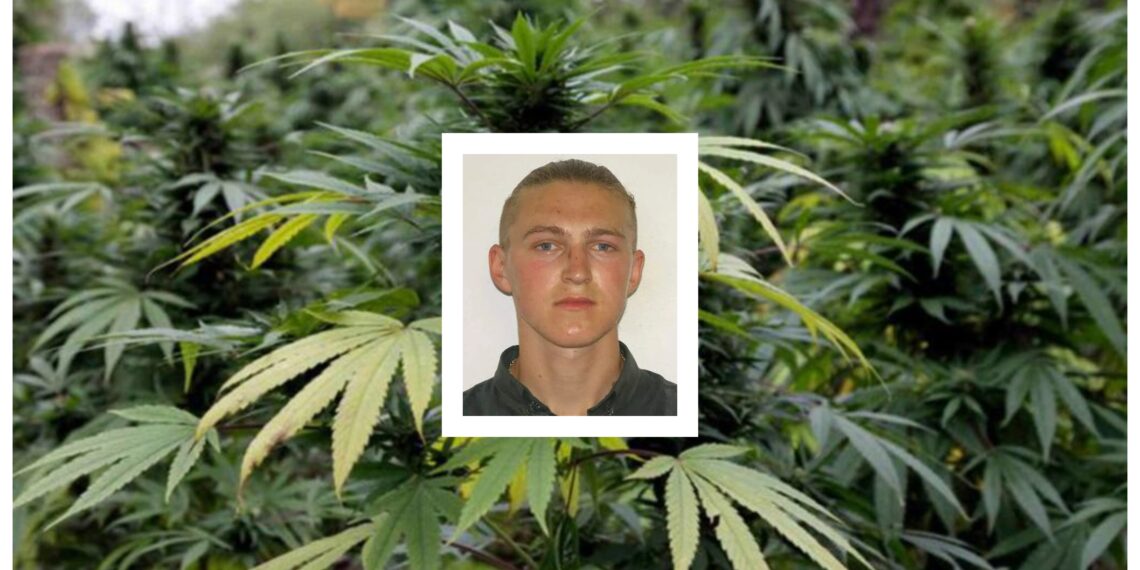 Un tânăr traficant de droguri, șantajist, dat în urmărire de mai bine de trei ani, a ajuns în pușcărie. Polițiștii l-au săltat din Vama Siret și l-au condus la Penitenciarul Botoșani