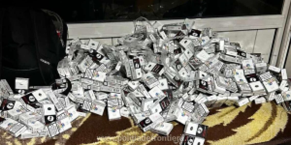 FOTO Polițiștii de frontieră au descoperit o tânără de 19 ani care se plimba cu 450 de pachete cu țigări de contrabandă asupra sa