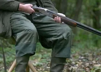 Braconierii fac legea în Sucevița? Niște braconieri echipați cu aparate de termoviziune au tras zeci de focuri de armă în zona Complexului Cinegetic Codrul Voievodesei, dintre care câteva spre doi pădurari: ”Dacă nu se retrăgeau la timp probabil îi împușcau ca pe potârnichi”