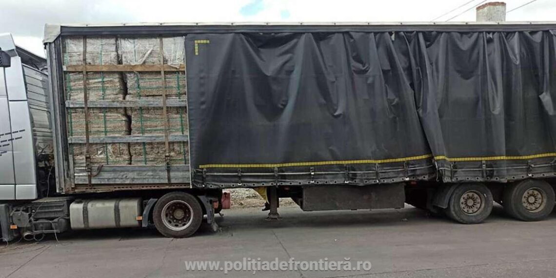 FOTO Camion încărcat cu peste 20 de tone de deșeuri de cânepă, depistat la PTF Siret. Un ucrainean voia să ducă încărcătura la o firmă din Iași