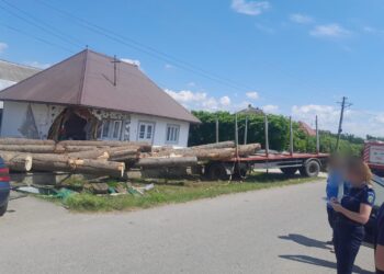 FOTO O casă din Bogdănești a fost distrusă de mai mulți bușteni căzuți dintr-un camion ce s-a răsturnat